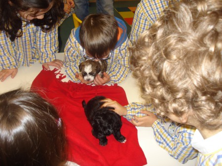 O Francisco ganhou mais um amigo.